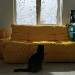 Фото покупателя, оценка 5 - 2